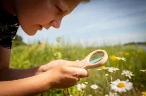 Dual Magnifying Glass