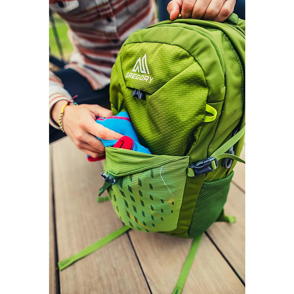 Gregory Mountain Products Nano 20 Liter Daypack, Mantis Green, One Size